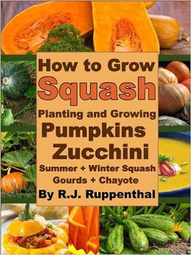  How to Grow Squash: Planting and Growing Pumpkins, Zucchini, Summer and Winter Squash, Gourds, and Chayote