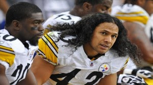 brandon polamalu