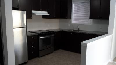 Basement 1 Bedroom Basement Apartment Brampton