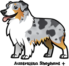 35+ Trends For Easy Australian Shepherd Puppy Drawing | The Campbells