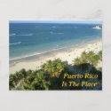 Puerto Rico Is The Place zazzle_postcard