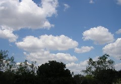 Sky: 8/5/06
