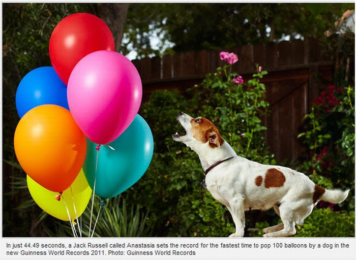 Guinness World Records 2011 (10 pics) Guinness World Records 2011 (10 pics)