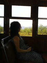 Train to Soller