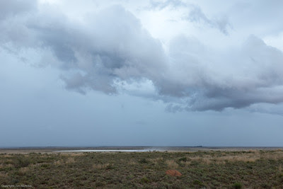 Karoo Storm, Kraankuil Karoo Storm, Kraankuil