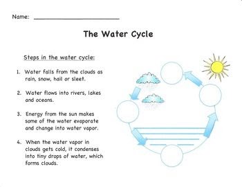 Cycles Worksheet Answer Key - worksheet