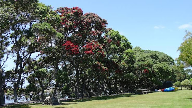 Bream Bay Lodge Open Times