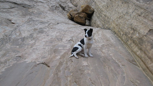 03.26.10 Farnsworth Canyon