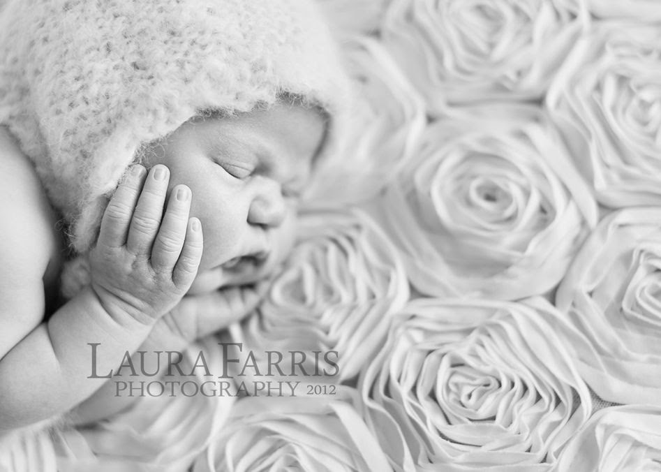 boise area newborn baby photographers