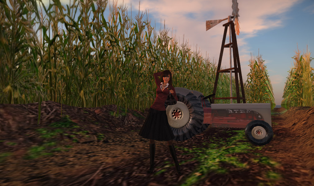 The Corn Field 1