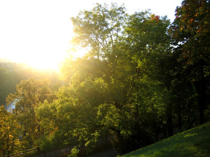 sunset2.jpg