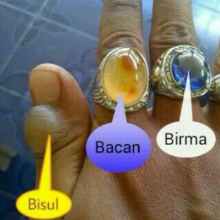 Bacan Terkini Holidays OO Bacan Terkini Holidays OO