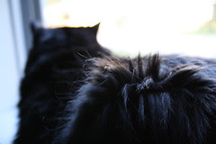 Huggy Bear's tocks