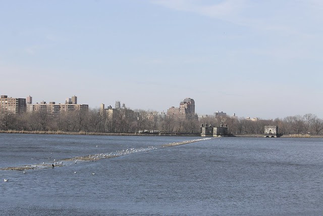 A Walk in Central Park