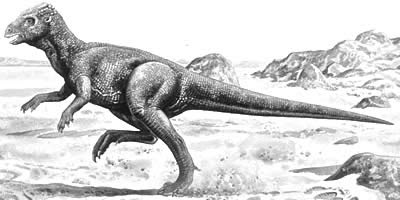 dinosaur that starts with e