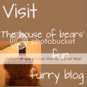 House of bears’ blog button 