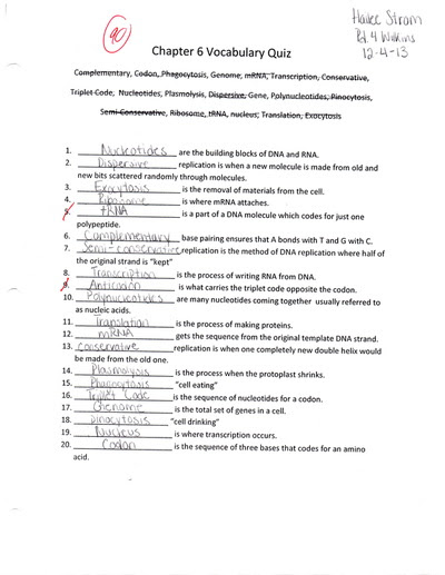 Chapter 8 From Dna To Proteins Vocabulary Practice Answers - Protein