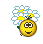 цветы цветы