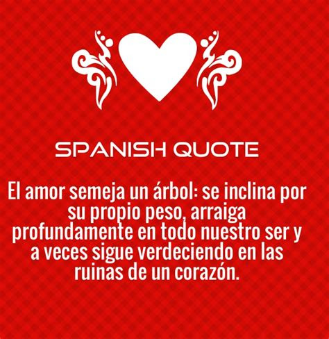 i love you my girlfriend in spanish