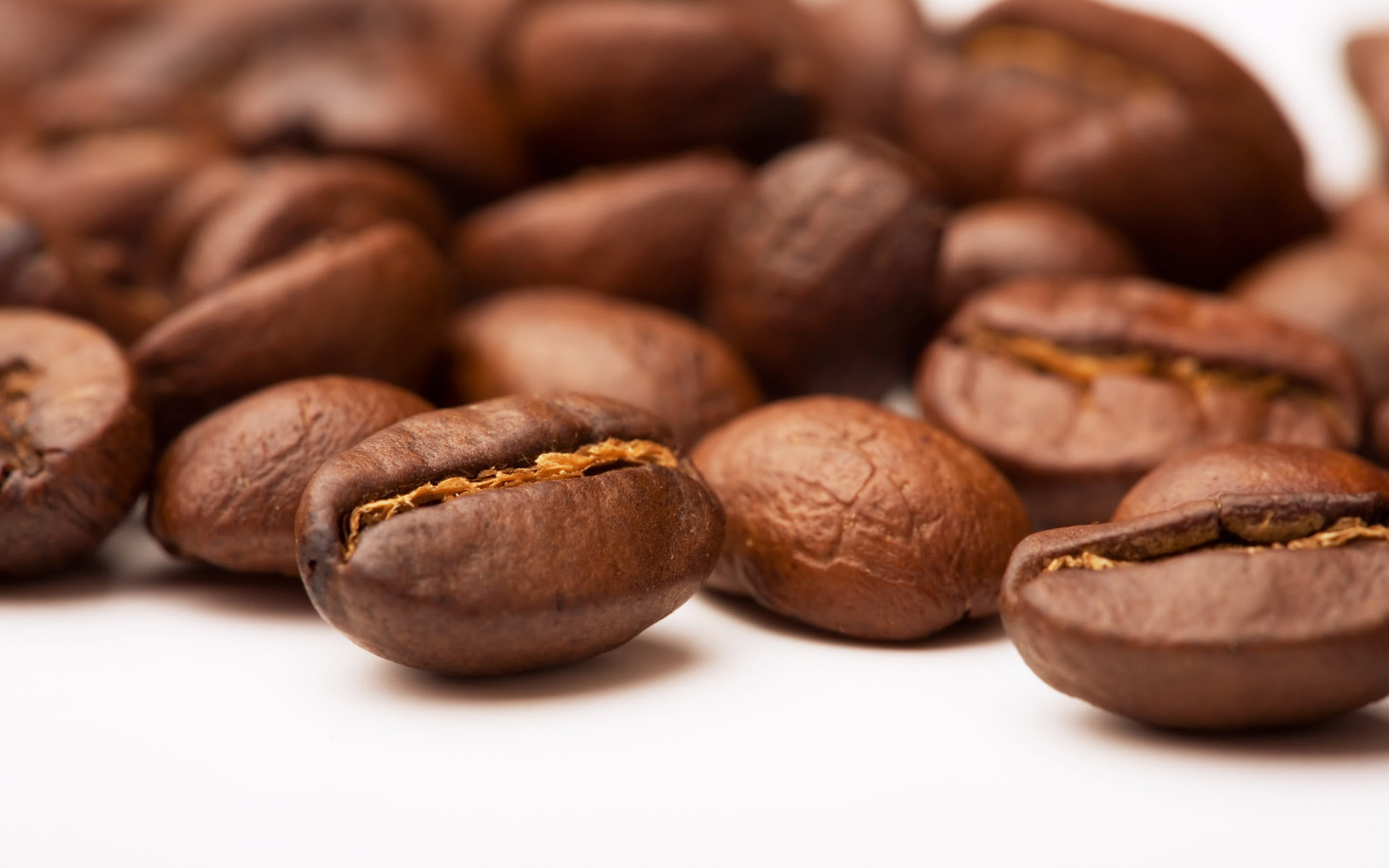 Download Wallpaper Biji Kopi Hd | Download Koleksi ...