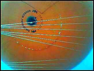 bigorangeballoon_under