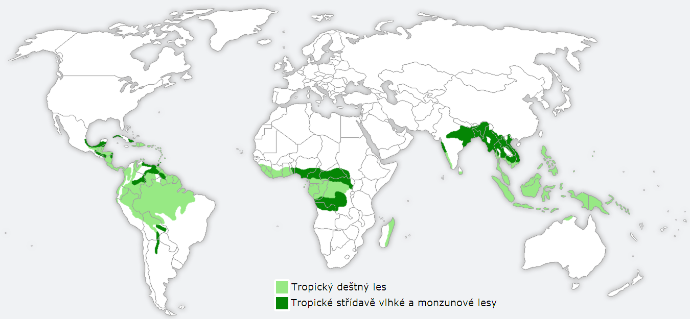 Tropické Deštné Lesy Mapa | MAPA