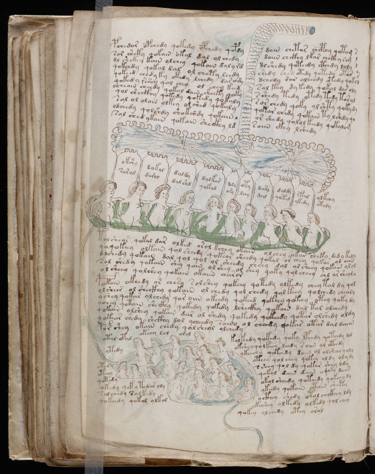 Res Obscura: Images from the Voynich Manuscript