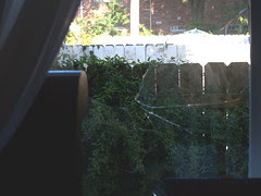BrokenWindow1.JPG