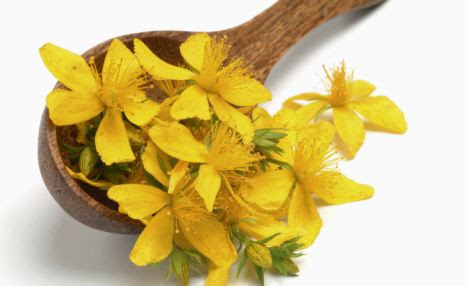 St John's Wort