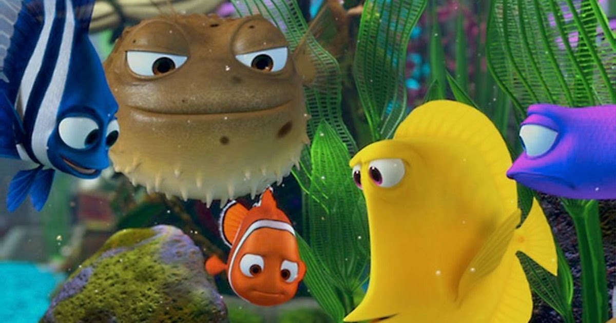 finding-nemo-fishes-meet-the-real-cast-of-finding-nemo-enter-the