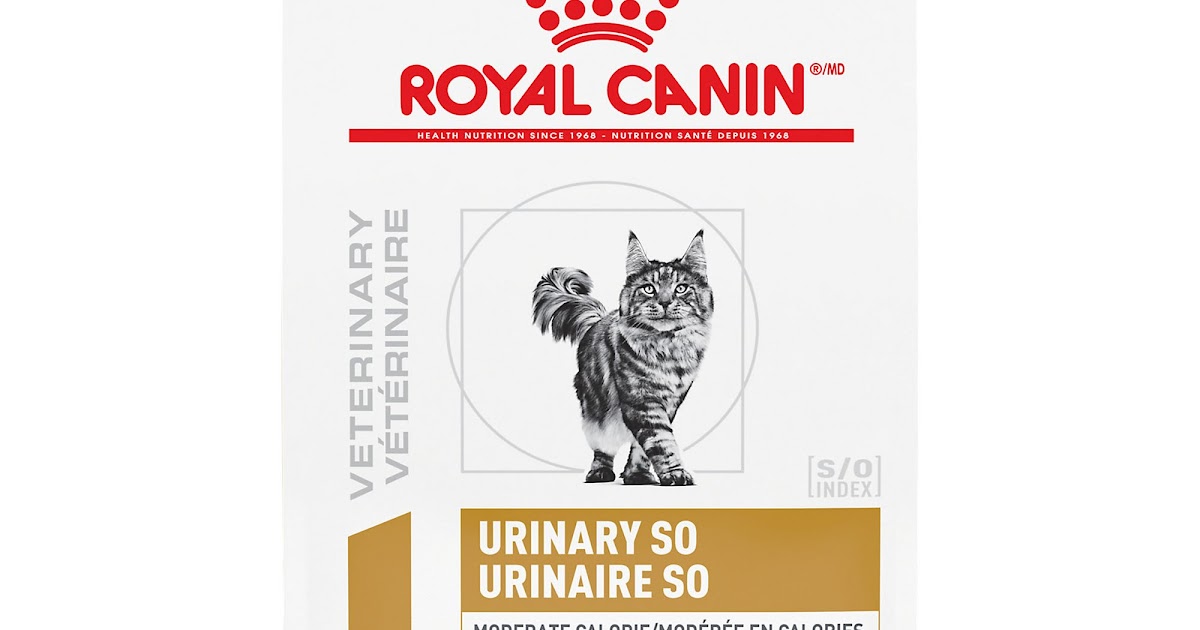 Royal Canin So Cat Food Ingredients