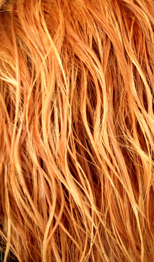 How To Cover Orange Hair