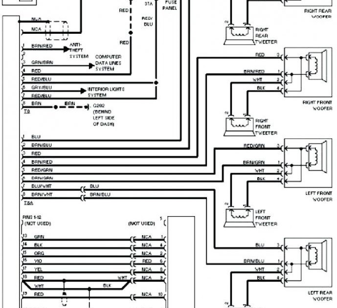 2004 nissan sentra radio wiring diagram