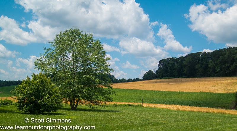 Photo & Video Sharing by SmugMug Photo & Video Sharing by SmugMug