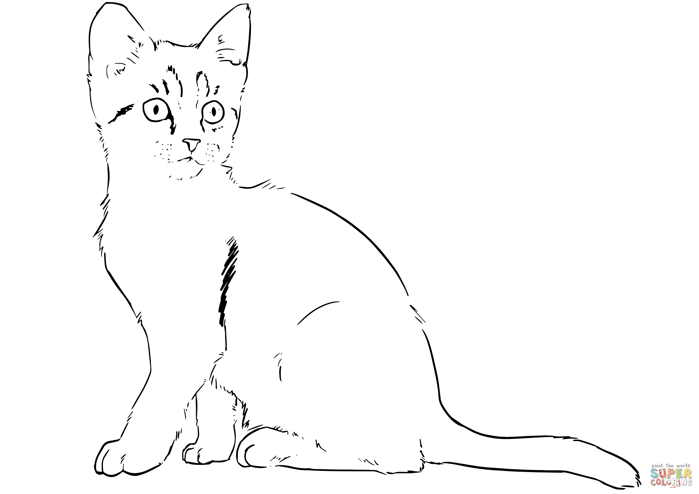 Кошка рисунок карандашом