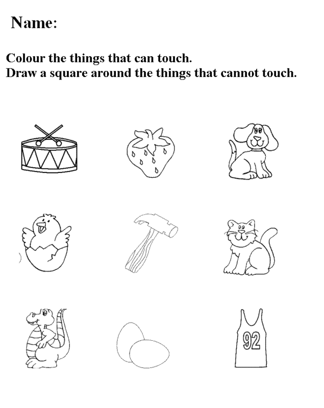 five sense worksheet: NEW 418 WORKSHEETS ON FIVE SENSES FOR GRADE 1