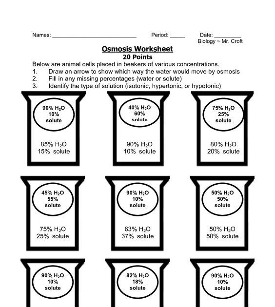 Osmosis Jones Worksheet Answer - worksheet
