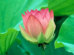 images (12)