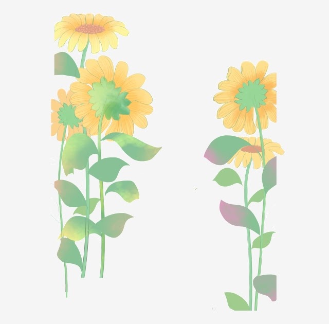 Gambar Bunga Matahari Kartun Berwarna - Mewarnai Gambar