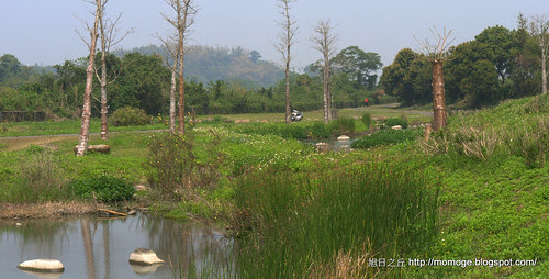 親水公園