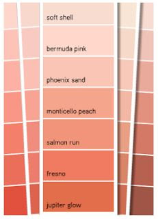 http://www.pinterest.com/pin/277252920783360150/ benjamin moore dark salmon - Google Search