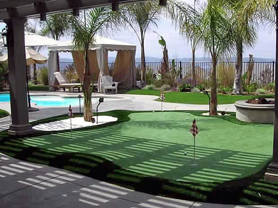 Grass Carpet Fraser Colorado Office Putting Green Small Backyard Ideas
