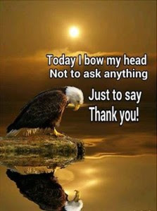 eagle thanks