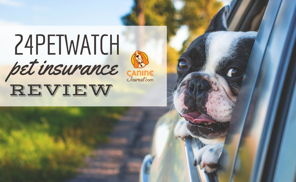 Pet Insurance Quotes Cheap - ABINSURA