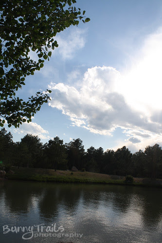 fr-pond3
