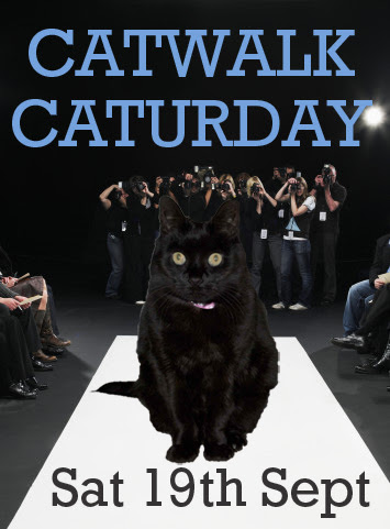 catwalk-huffle