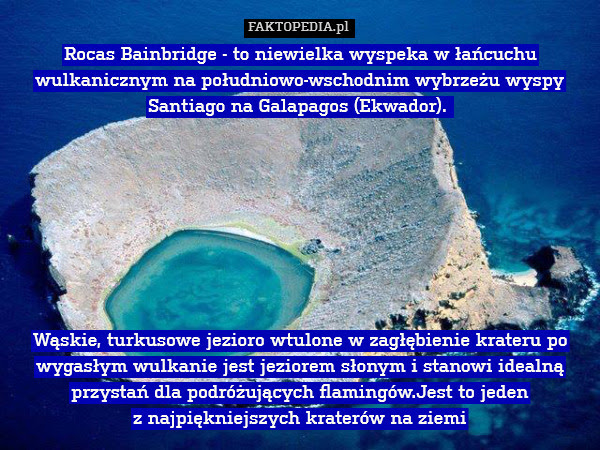 Rocas Bainbridge - to niewielka – Rocas Bainbridge - to niewielka wyspeka w łańcuchu wulkanicznym na południowo-wschodnim wybrzeżu wyspy Santiago na Galapagos (Ekwador). 








Wąskie, turkusowe jezioro wtulone w zagłębienie krateru po wygasłym wulkanie jest jeziorem słonym i stanowi idealną przystań dla podróżujących flamingów.Jest to jeden
 z najpiękniejszych kraterów na ziemi 