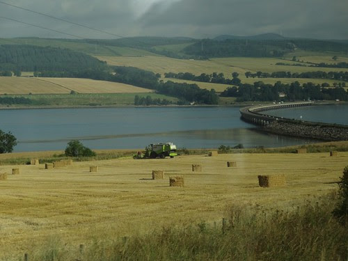 Fields around the Cromarty Firth