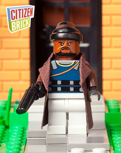 StickUpCitizenBrick2013