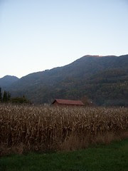 country walk